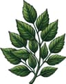 Westover Research Group